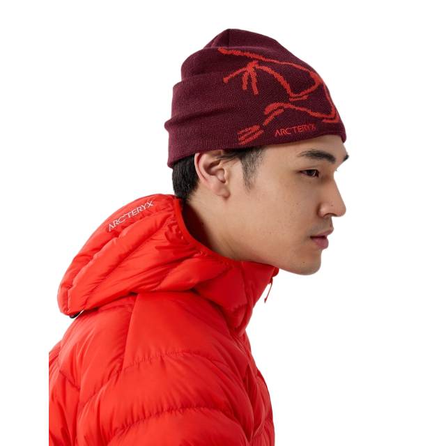 Arc'teryx Bird Head Toque_04