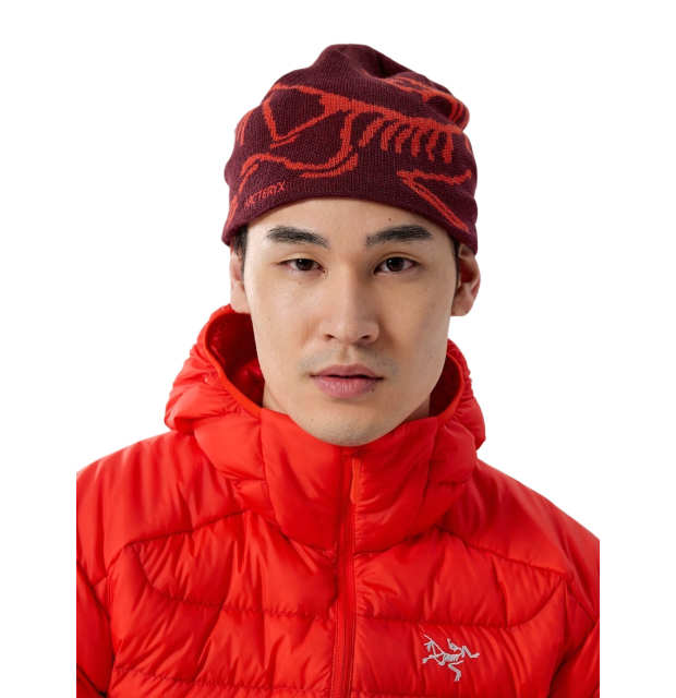 Arc'teryx Bird Head Toque_01