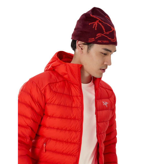 Arc'teryx Bird Head Toque_02
