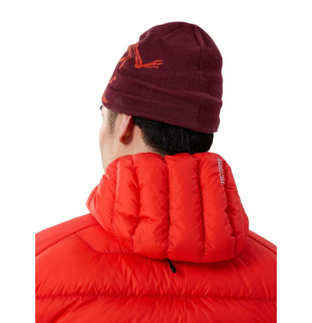 Arc'teryx Bird Head Toque_03