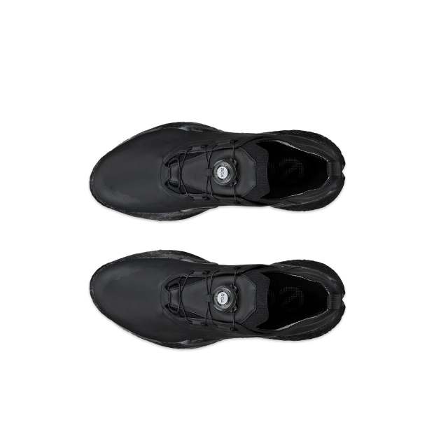 Ecco Golf BIOM Hybrid_04