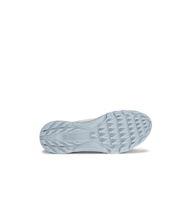 Ecco Golf Biom C4 BOA_03