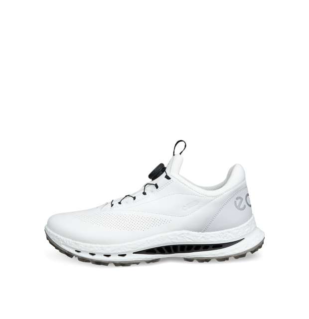 Ecco Golf Biom C5 BOA GTX_03
