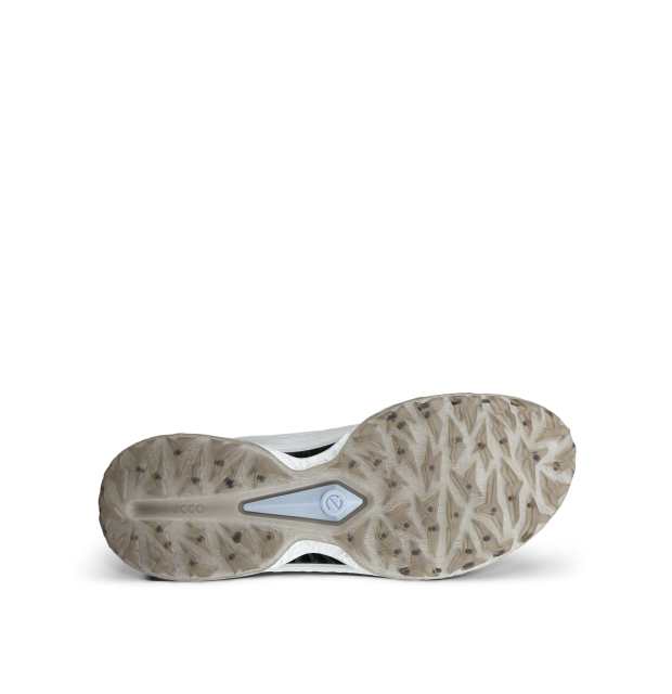 Ecco Golf Biom C5 BOA GTX_04