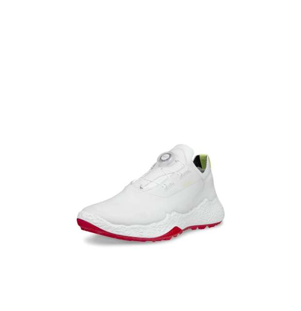 Ecco W BIOM Hybrid 5 BOA