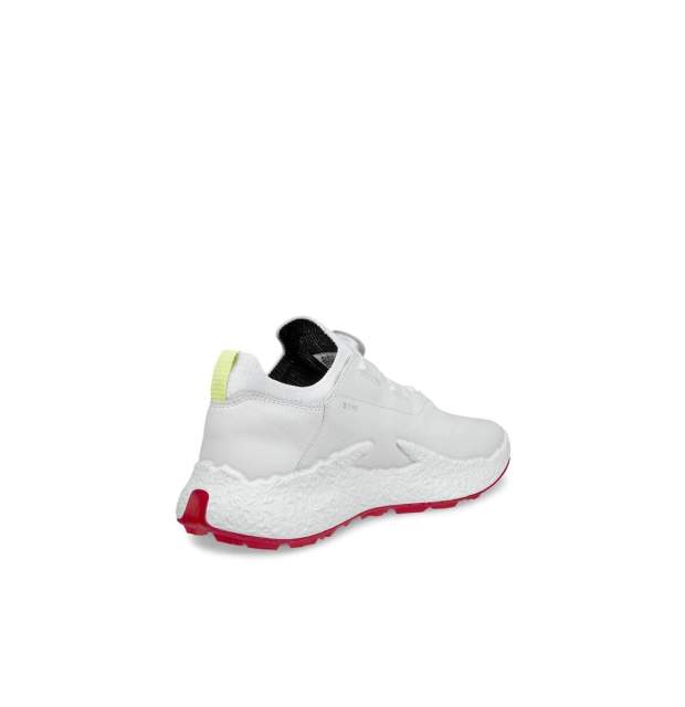 Ecco W BIOM Hybrid 5 BOA_02