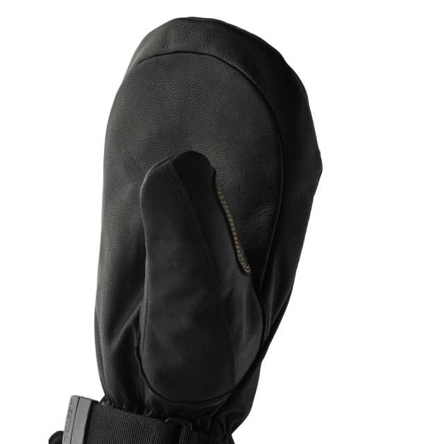 Hestra Army Leather GT mitt_01