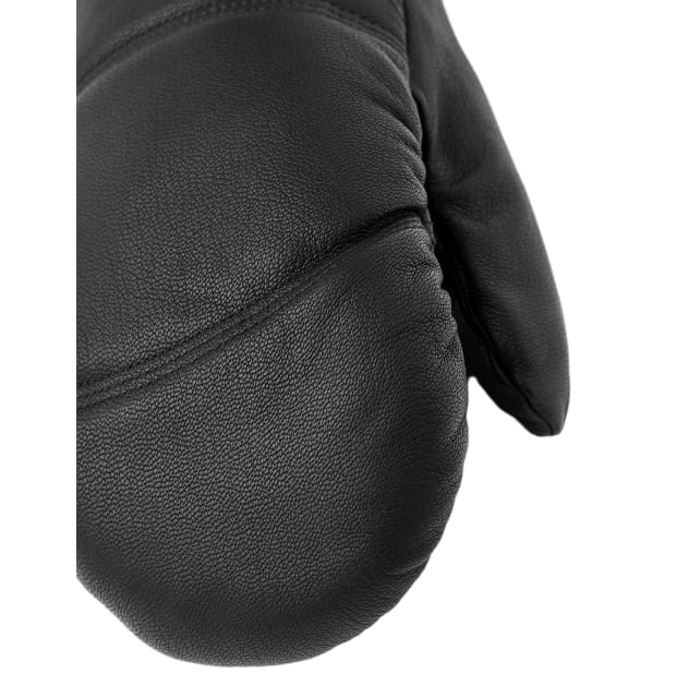 Hestra Leather Box Mitt _02