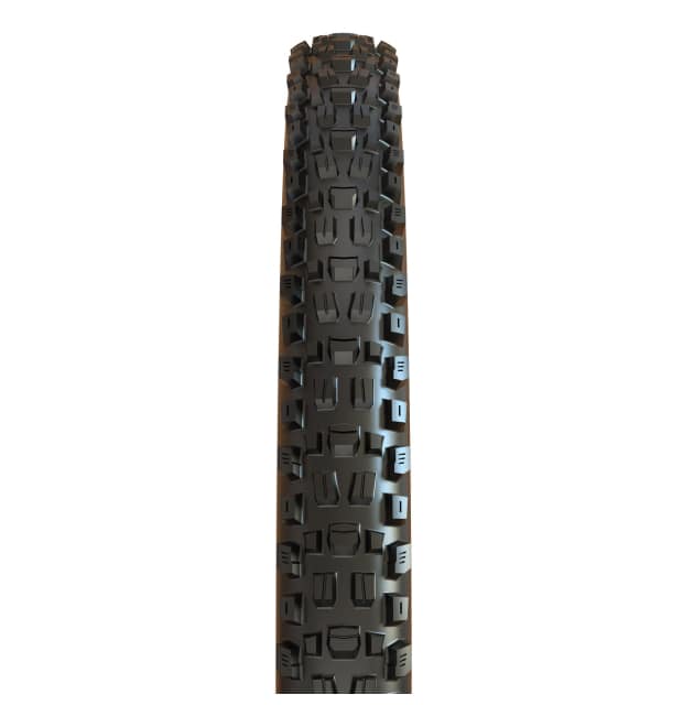 Maxxis Assegai DD_01
