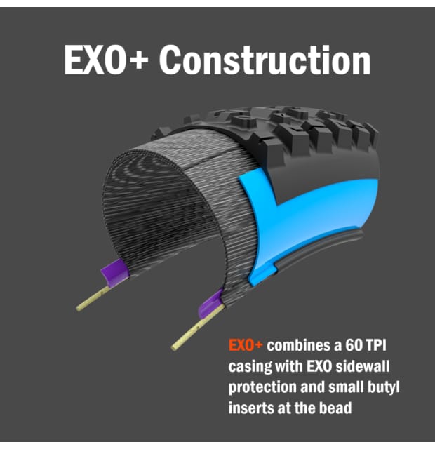 Maxxis Dissector EXO+_02