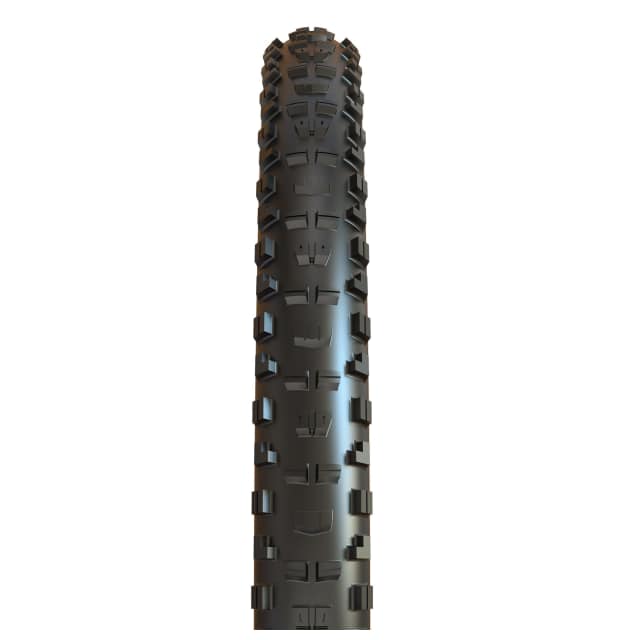 Maxxis Minion DHR II DD_01
