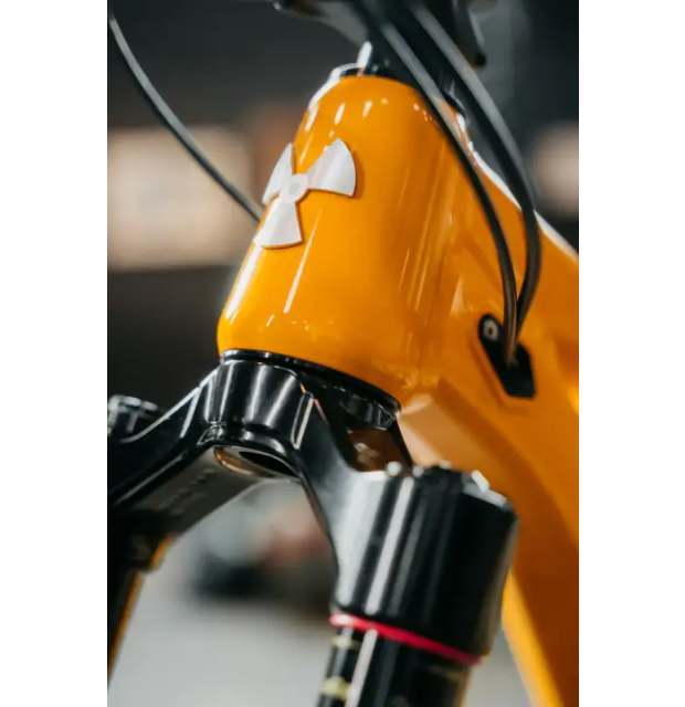Nukeproof Mega Alloy Pro Eagle 90_03