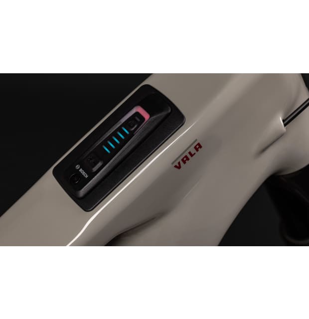 Santa Cruz Vala 70_03