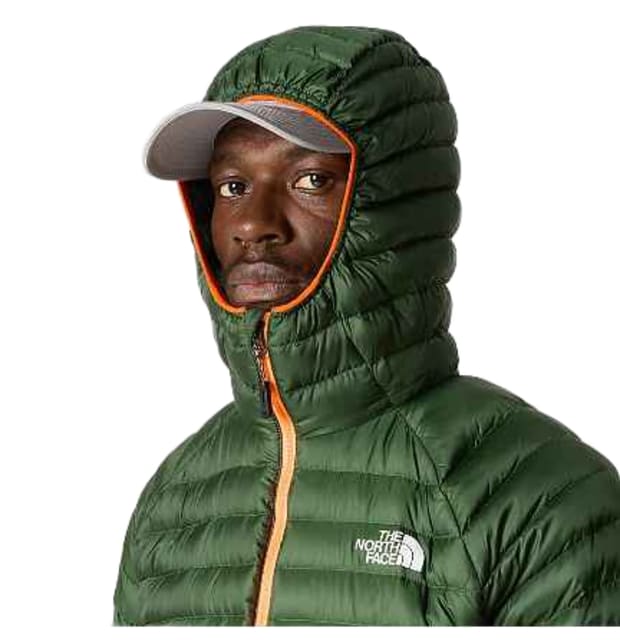 TNF Bettaforca LT Down Hooded_04