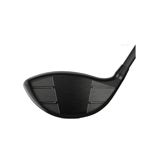 Wilson Dynapower Carbon driver_02