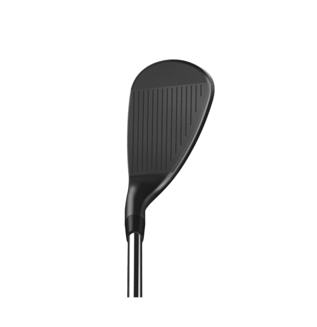 Wilson Infinite Wedges RH_01