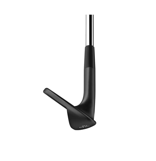 Wilson Infinite Wedges RH_04