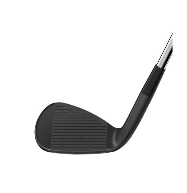 Wilson Infinite Wedges RH_03