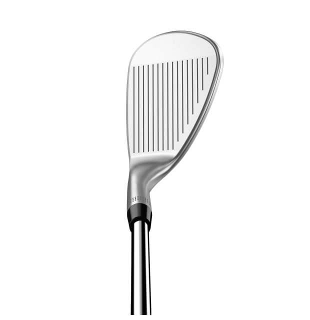 Wilson Wedge Staff Model TG Demo_01