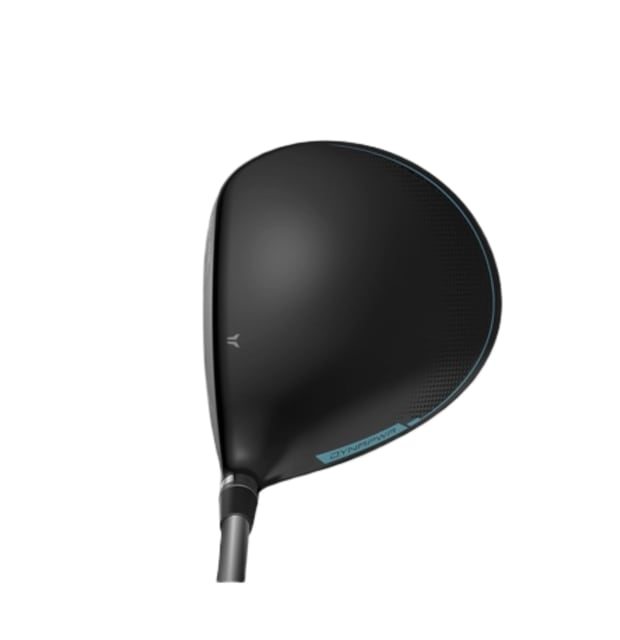 Wilson Women's Dynapower Titanium Driver_01