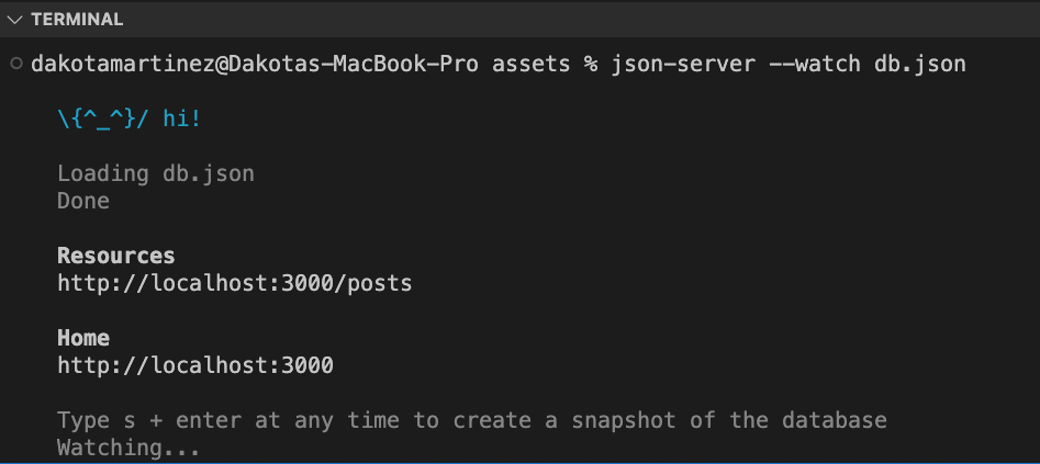 JSON server running in terminal