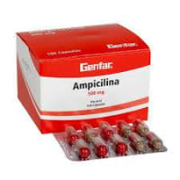 Producto en Ampicilina