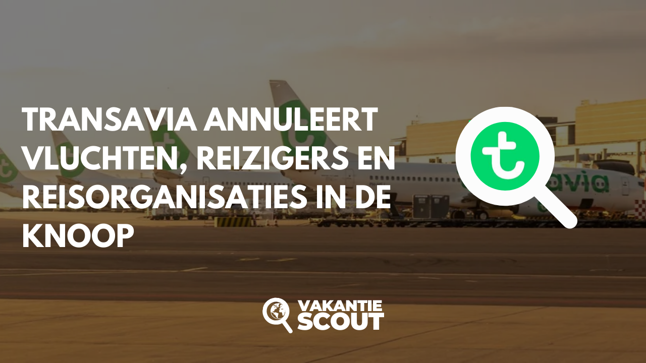 Transavia Annuleert Vluchten Midden in het Hoogseizoen