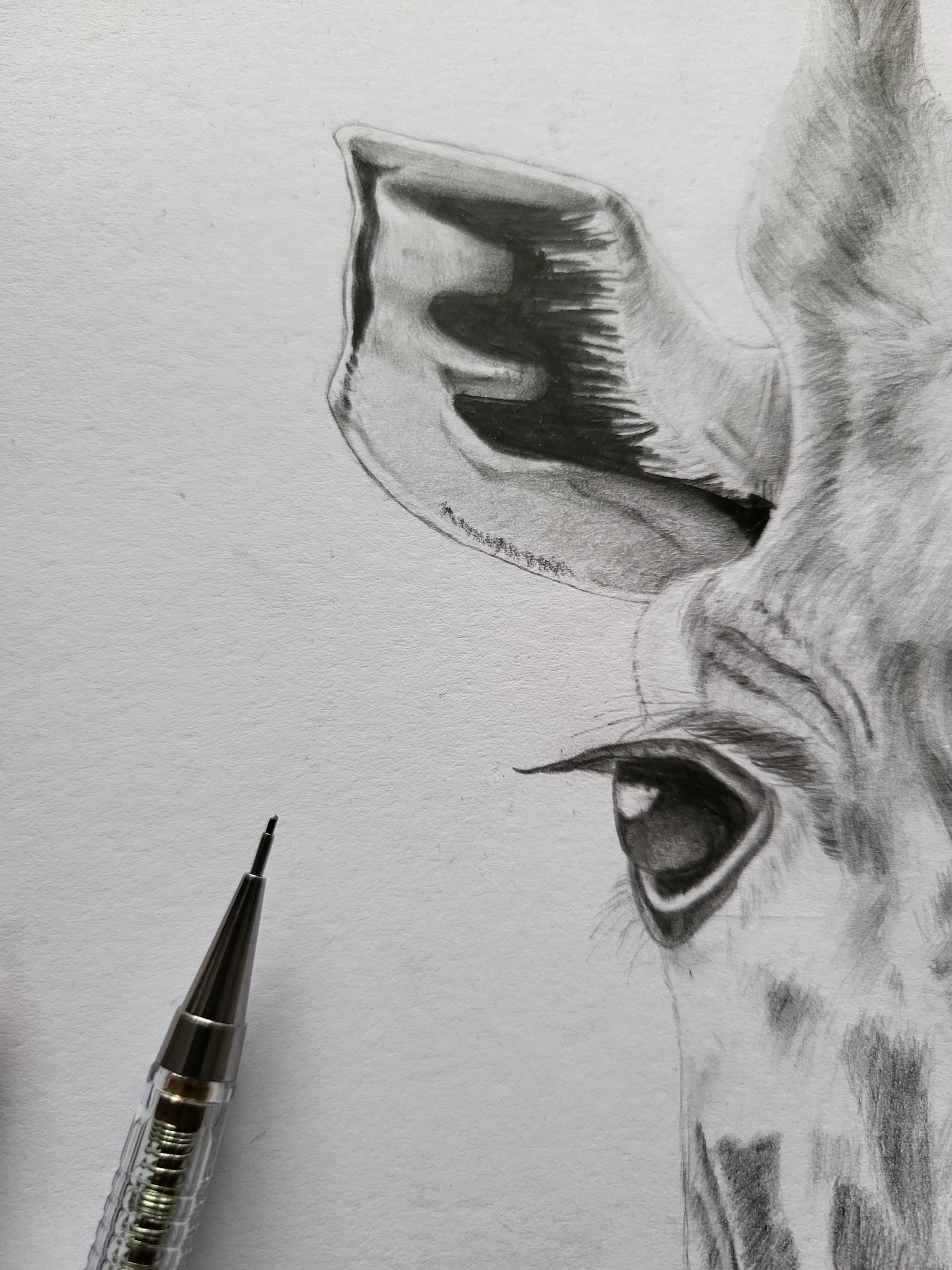 POWERDRIVE work in progress photo