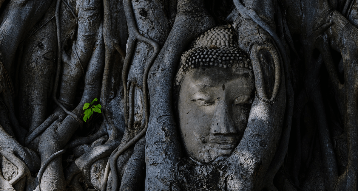 Art of Restoration