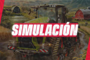 Simulación