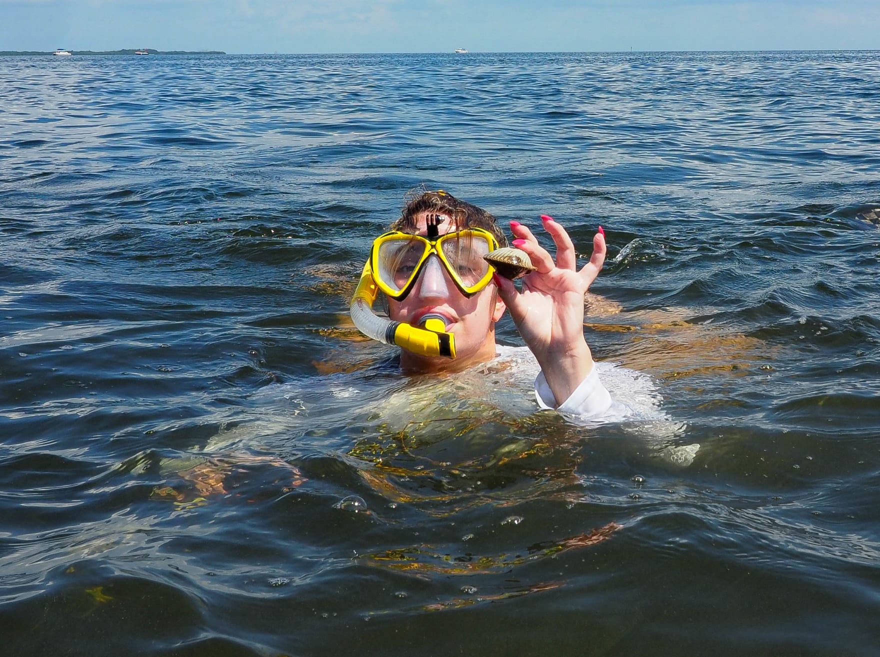 Large starfish spotted along beach in Port Aransas, Texas