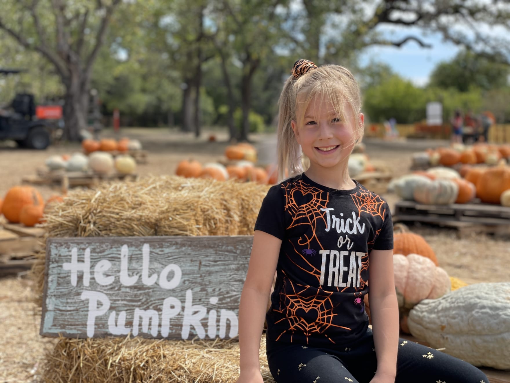 The Pumpkin Patch Spill-Proof Straw Cup – Calla and Friends