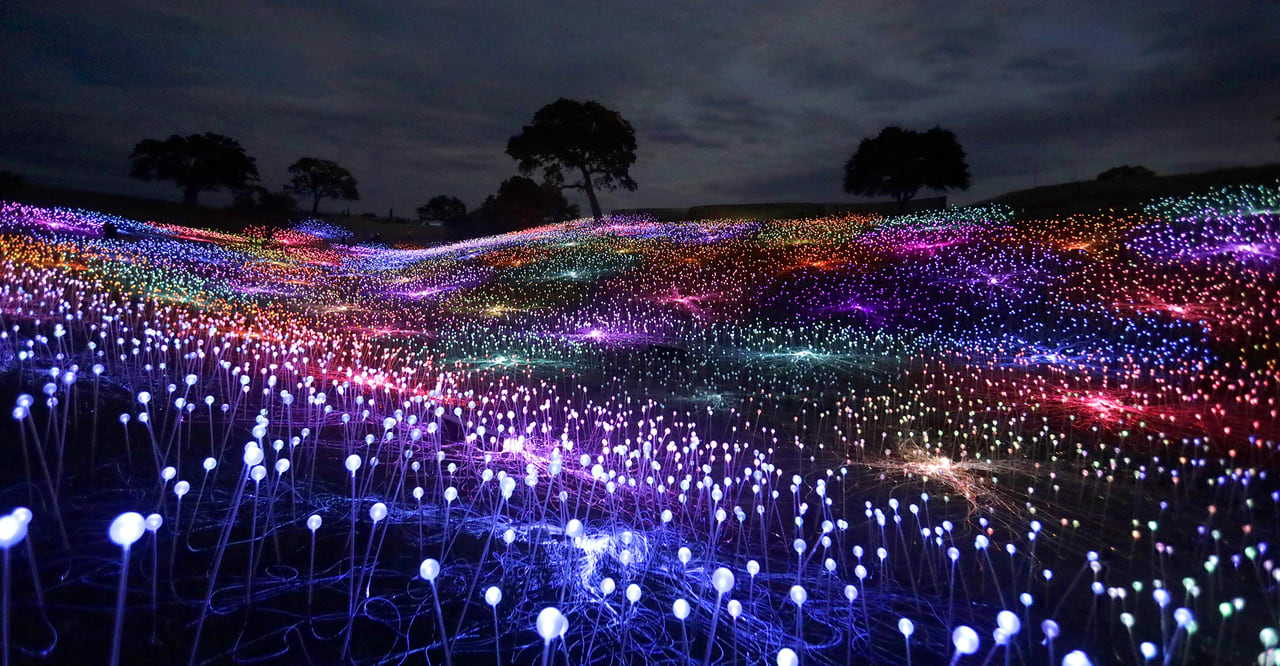 'Field of Light' comes to Lady Bird Johnson Wildflower Center this fall