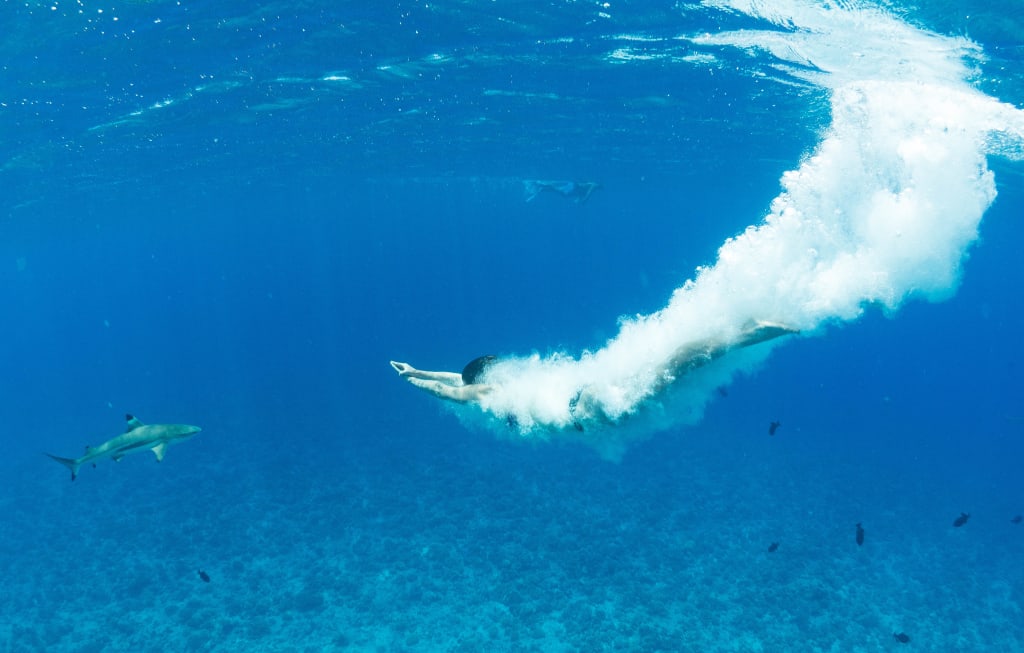 swim with sharks French Polynesia