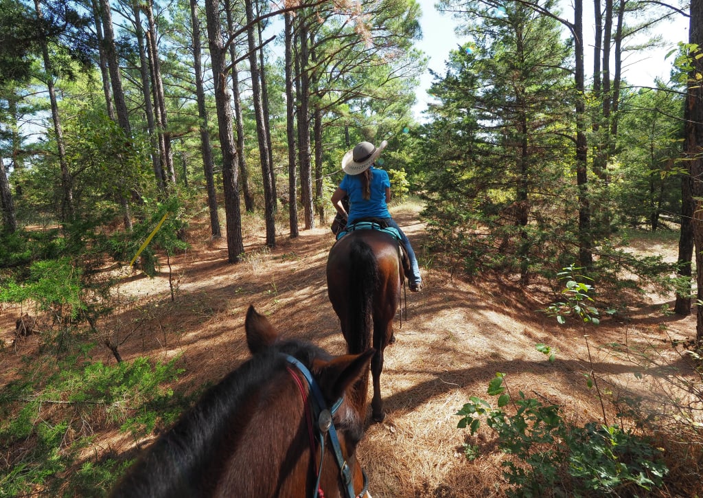 trail riding at LBJ National Grasslands