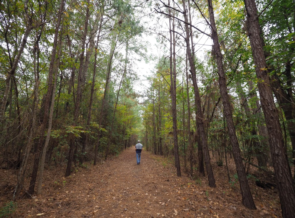 Chris hikes Martin Dies Jr. State Park
