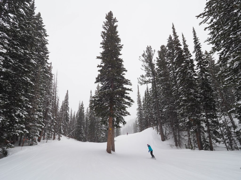 Snowboarder at Solitude