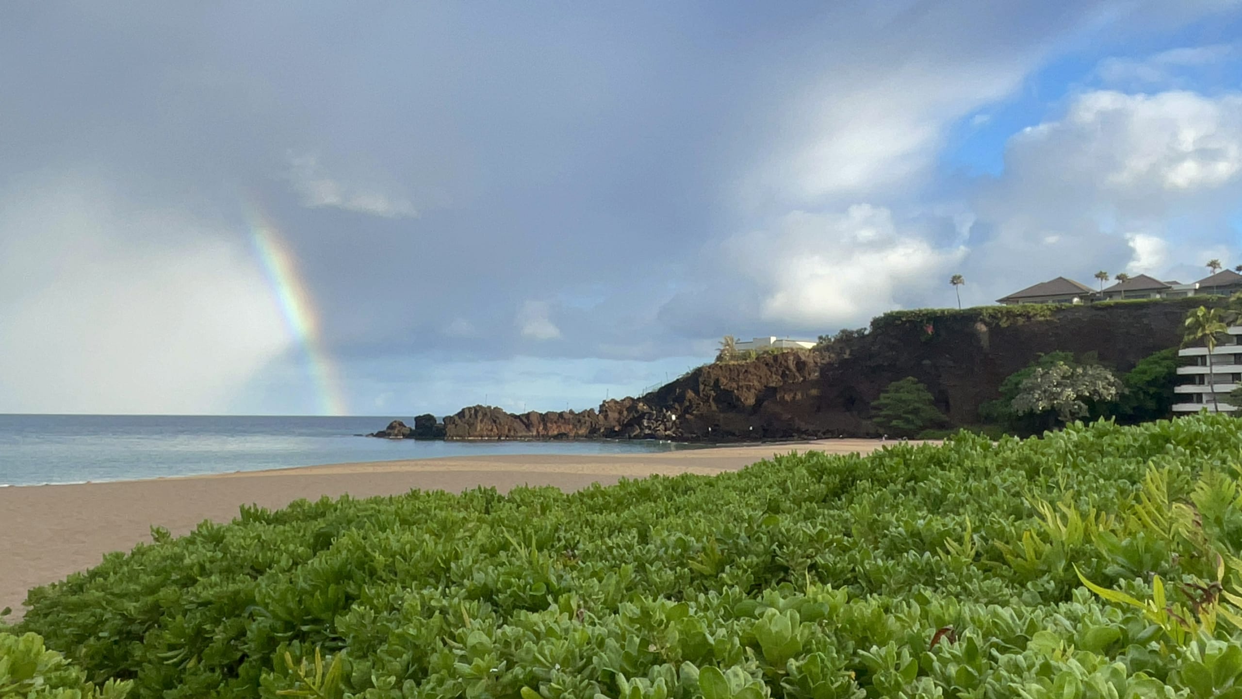 Immerse Yourself in Hawaiian Culture with these Lei-Making Classes