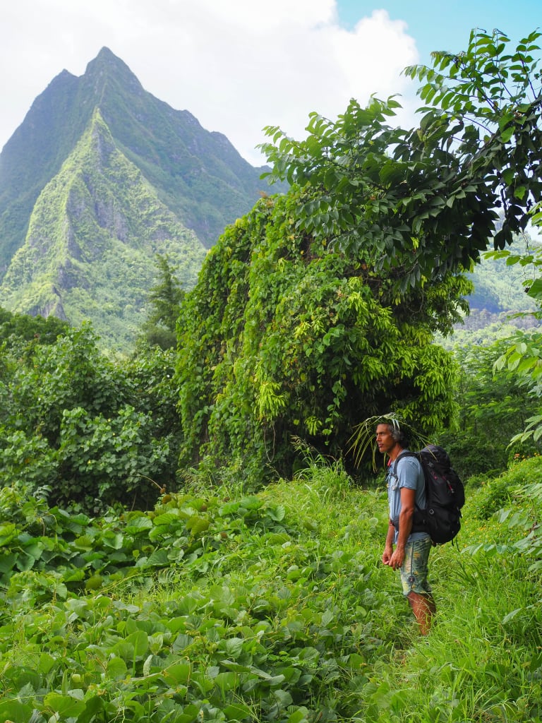 hiking Moorea