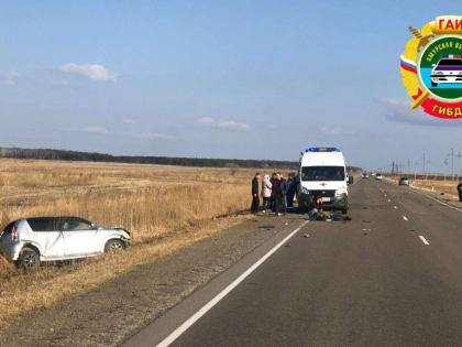 Погиб ребенок, есть пострадавшие: подробности жуткой аварии между Благовещенском и Тамбовкой (фото)