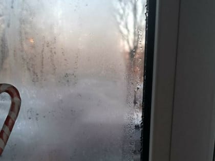 «Все мокрое – техника, одежда». Подвал многоквартирного дома в Благовещенске заливает кипятком (видео)