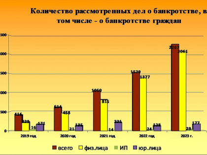 Число дел о банкротстве физических лиц в Приамурье выросло в разы с 2019 года