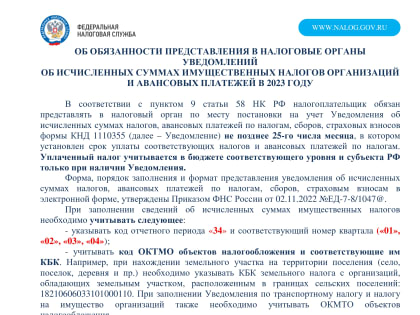 Благовещенским юрлицам нужно отчитаться в налоговой
