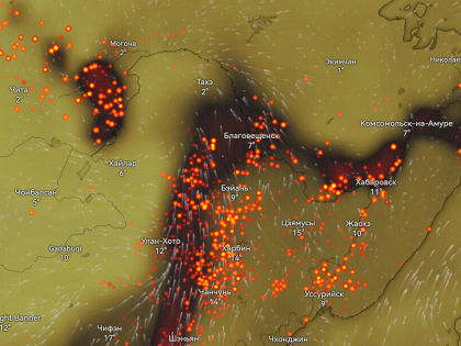 До 300 термоточек: дым от пожаров в Китае накрыл Амурскую область
