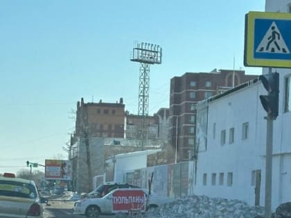 «Приобретая цветы из багажника сомнительного автомобиля у дороги, вы рискуете принести к себе домой серьезную инфекцию!»: заместитель мэра Дмитрий Перов рассказал о нелегальной про