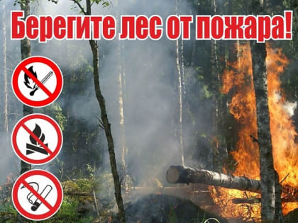Внимание! Введён особый противопожарный режим!