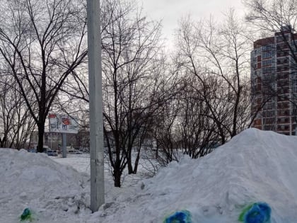 В Благовещенске заметили сине-зеленый снег. Оказалось, что это «фонтаны беспричинного счастья»