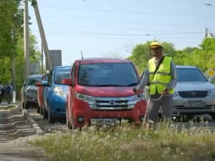 Сократить время покоса травы попросили мэра Олега Имамеева благовещенцы