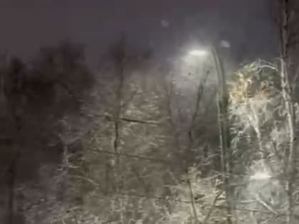 Непогода отключает свет в разных районах Благовещенска