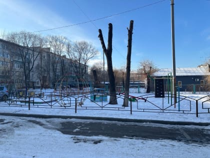 Безопасность детей на детской площадке в Благовещенске